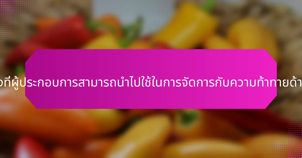 กลยุทธ์ใดบ้างที่ผู้ประกอบการสามารถนำไปใช้ในการจัดการกับความท้าทายด้านสุขภาพจิต?