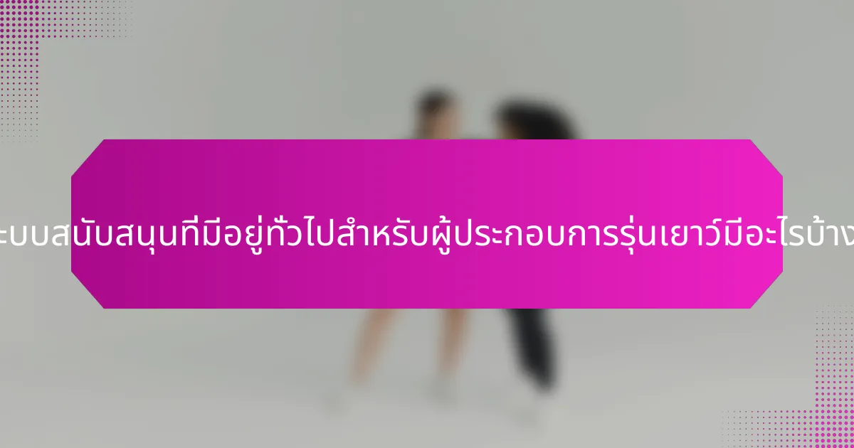 ระบบสนับสนุนที่มีอยู่ทั่วไปสำหรับผู้ประกอบการรุ่นเยาว์มีอะไรบ้าง?